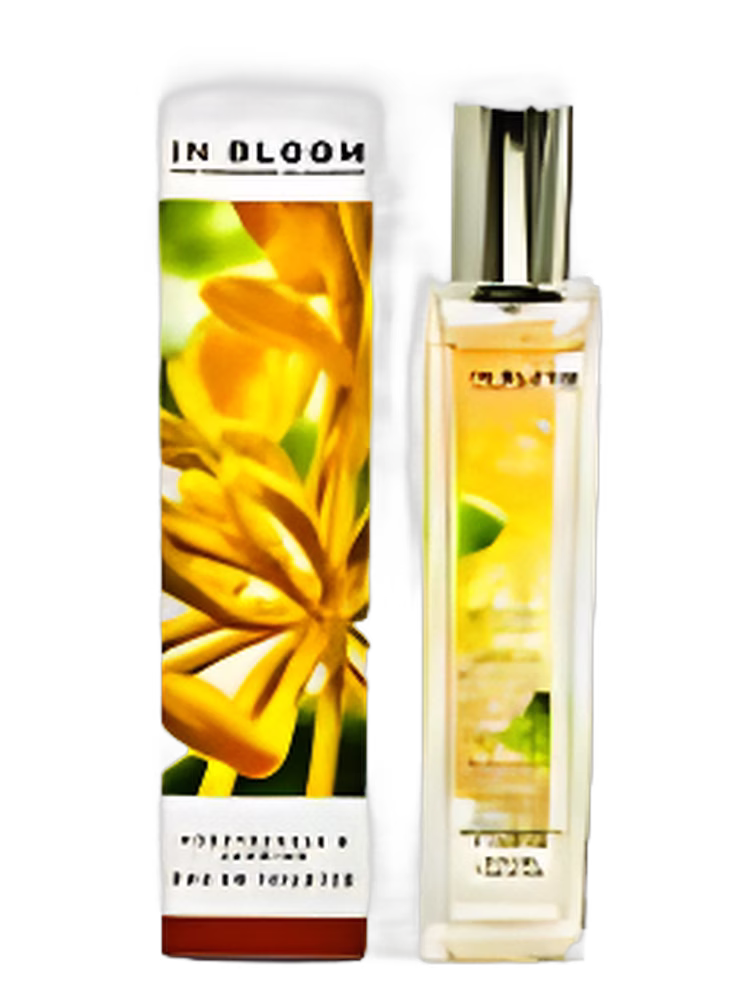 Marks & Spencer Jasmine and Honeysuckle