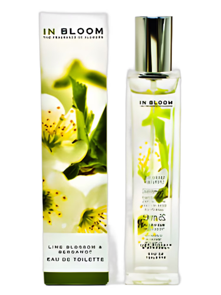 Marks & Spencer Lime Blossom and Bergamot