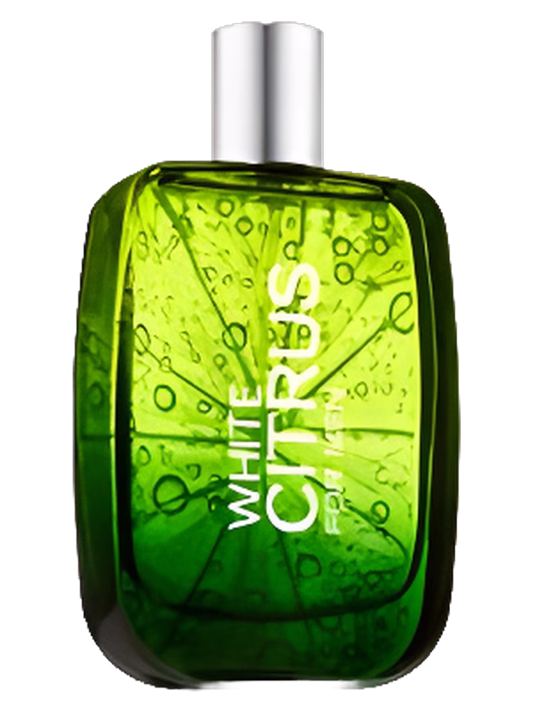 Bath & Body Works White Citrus for Men