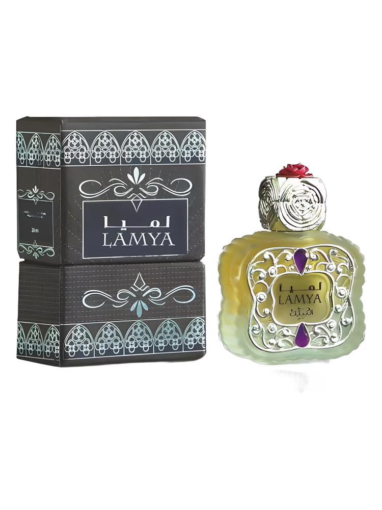Nabeel Lamya