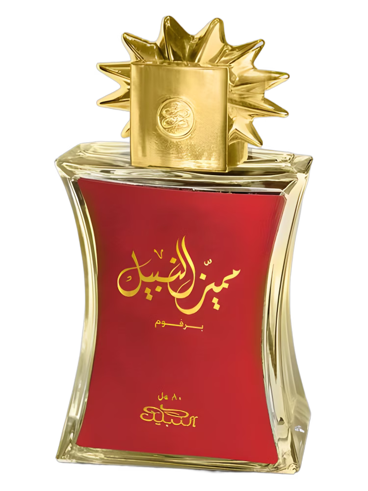 Nabeel Mumaiyaz Al Nabeel