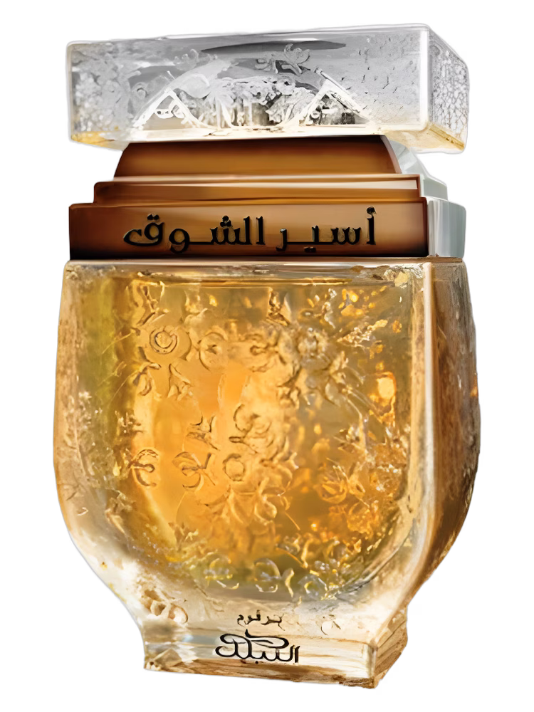 Nabeel Aseer Al Shawq Bronze