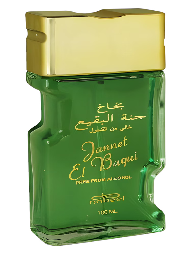 Nabeel Jannet El Baqui