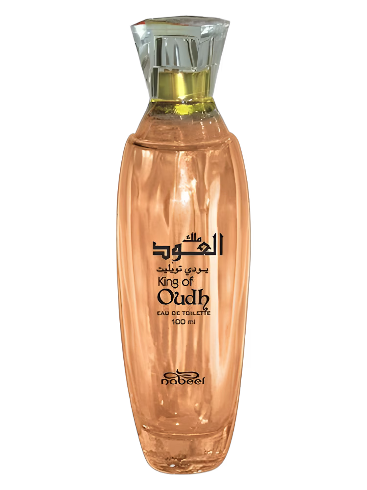 Nabeel King Of Oudh