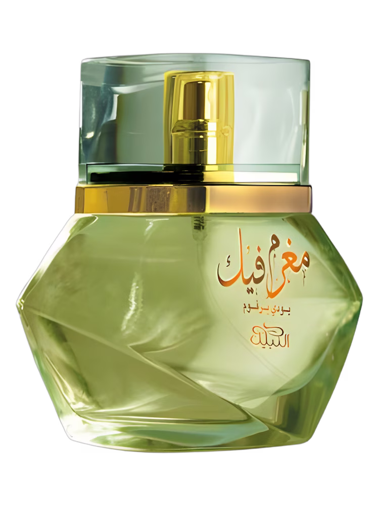 Nabeel Mughram Feek