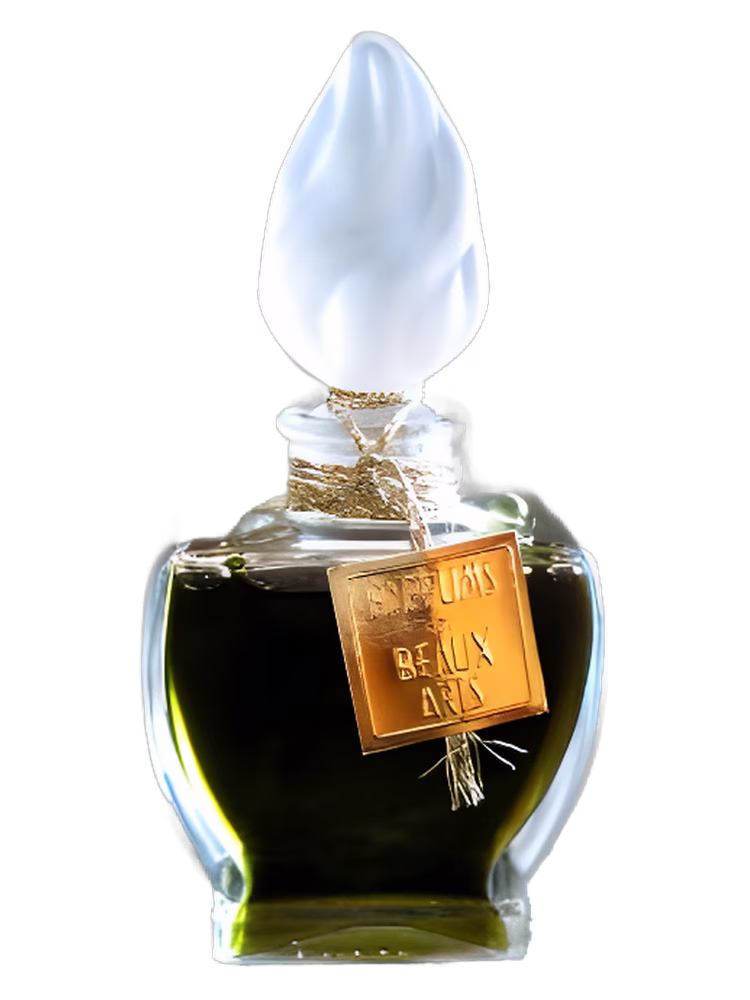 DSH Perfumes Pandora