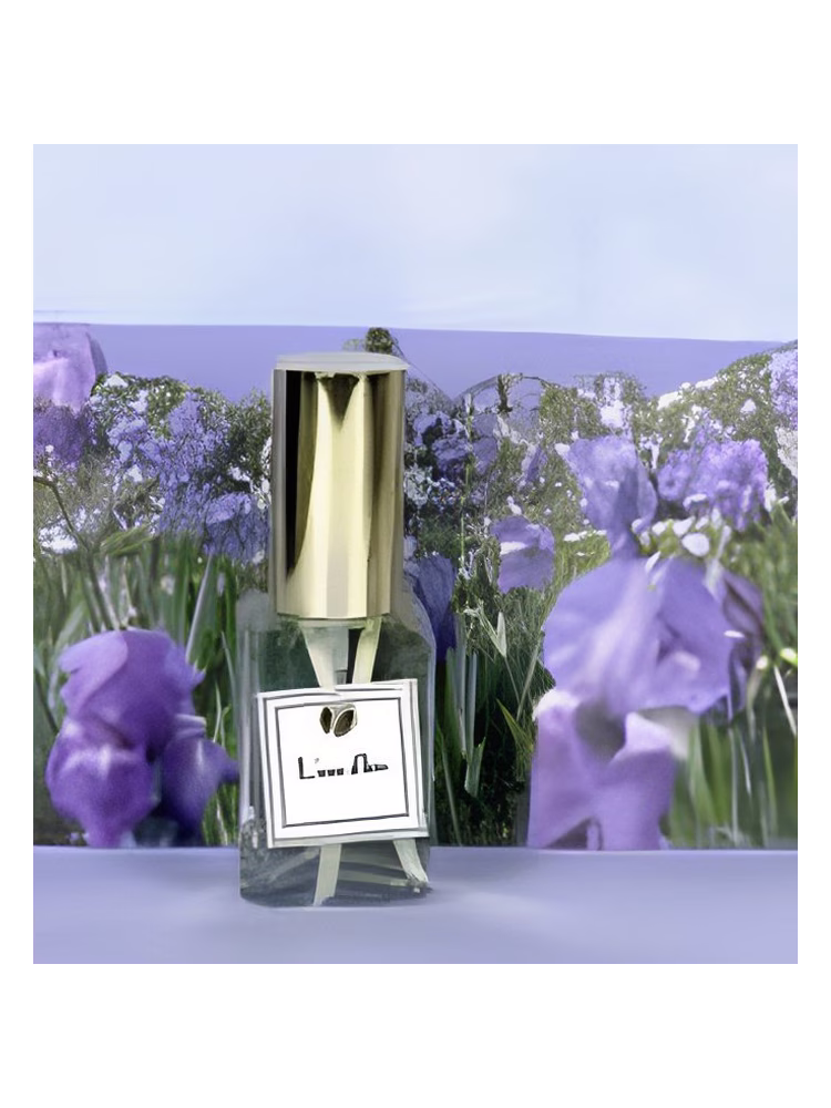 DSH Perfumes L’eau d’Iris