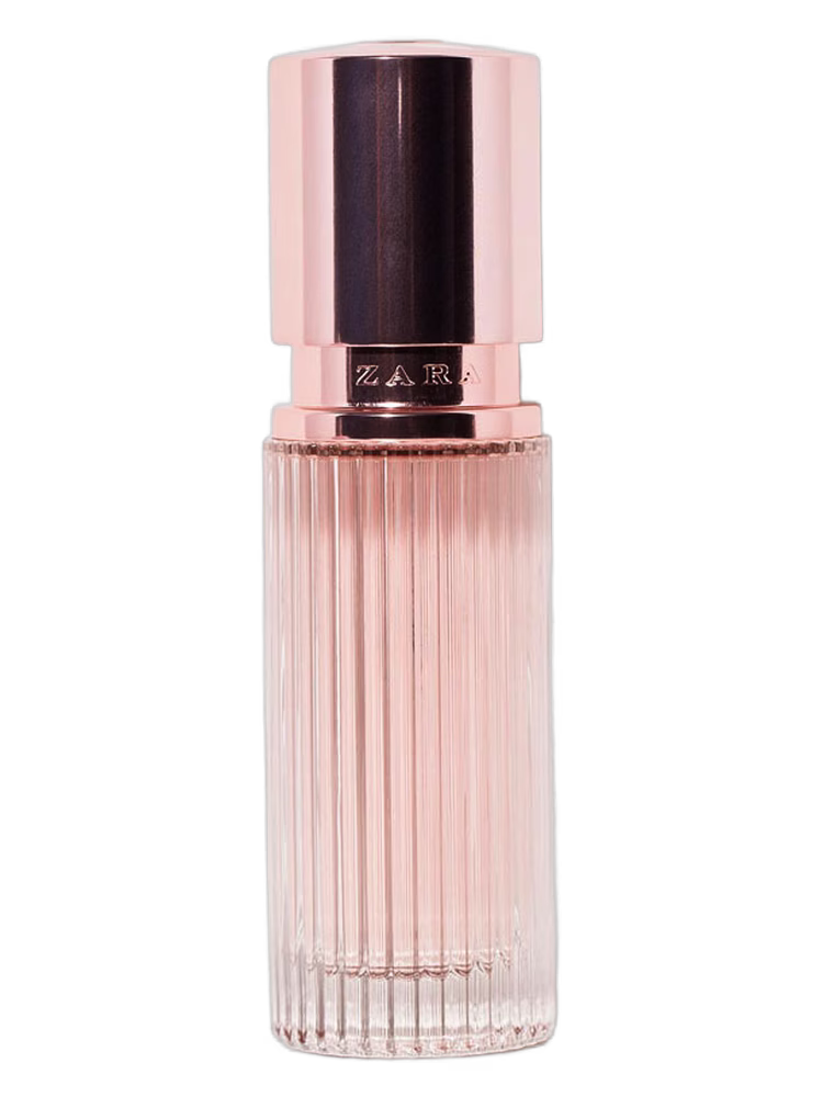 Zara Zara Woman Rose Gold 2013