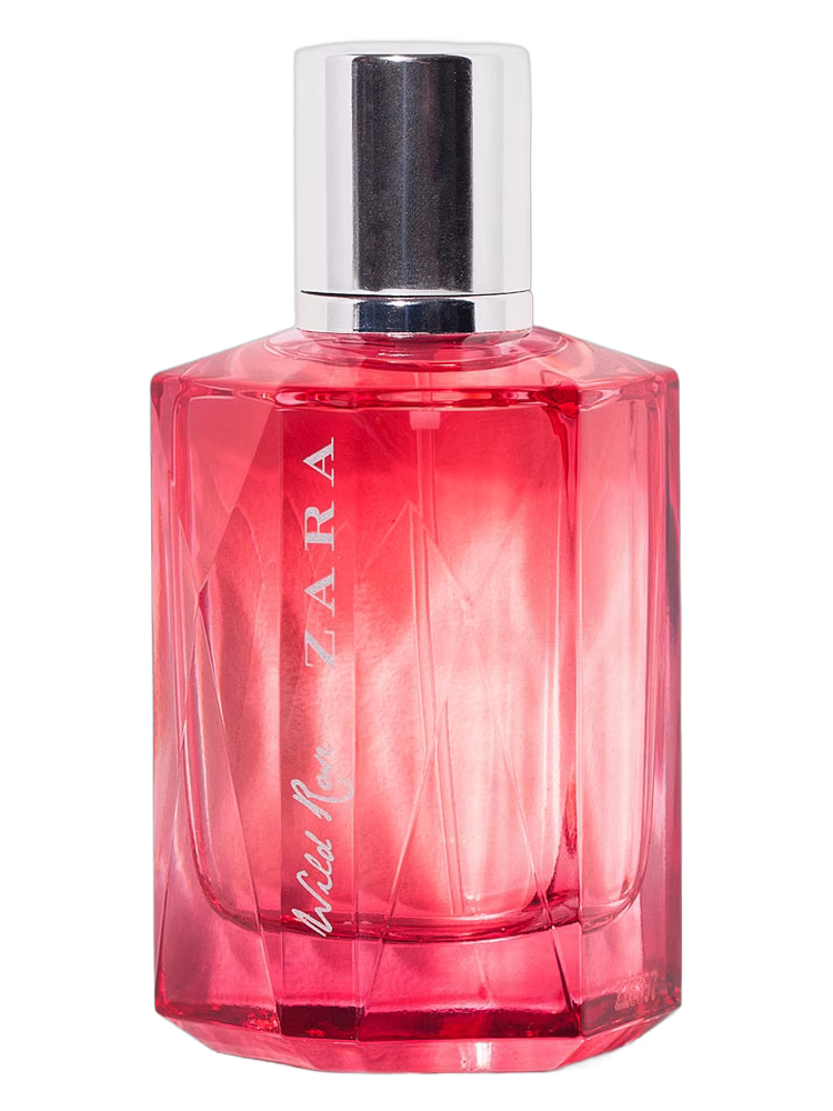 Zara Wild Rose