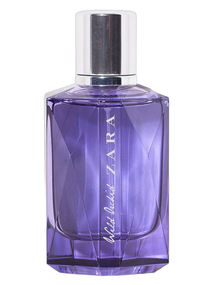 Zara Wild Orchid