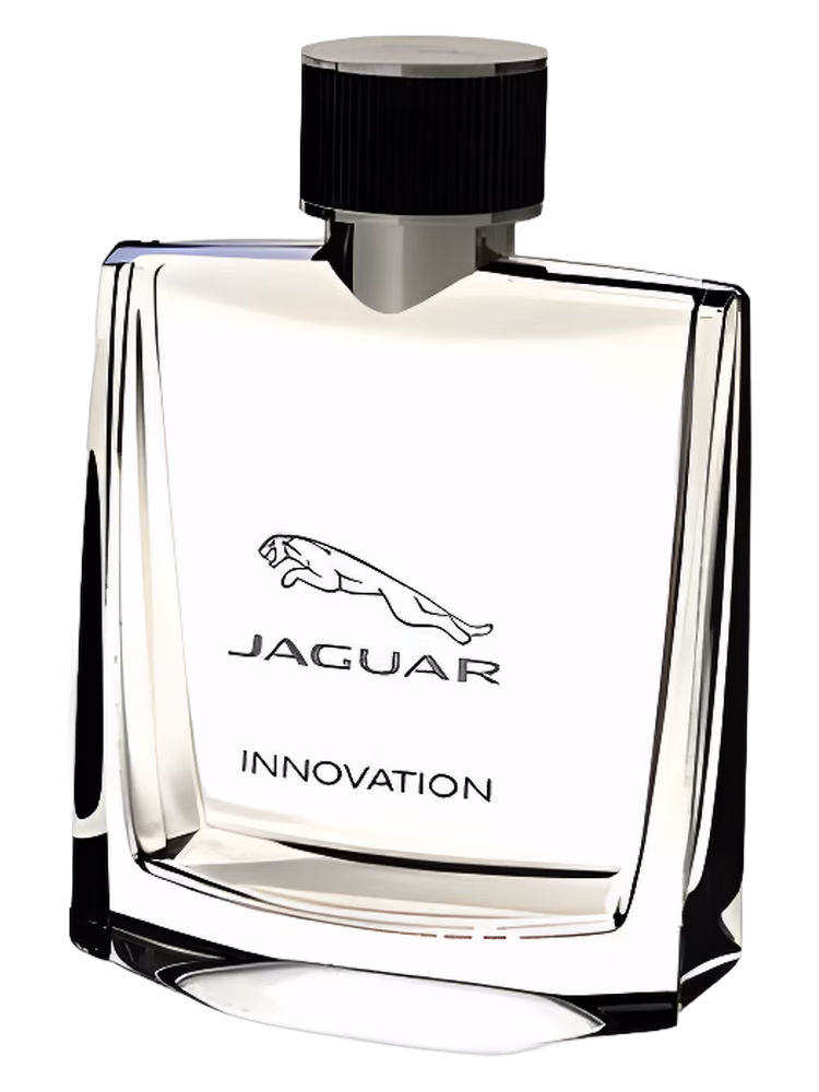 Jaguar Jaguar Innovation