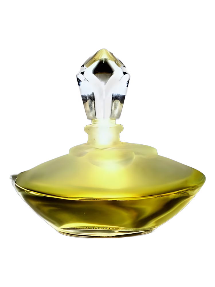 Tan Giudicelli Gardenia