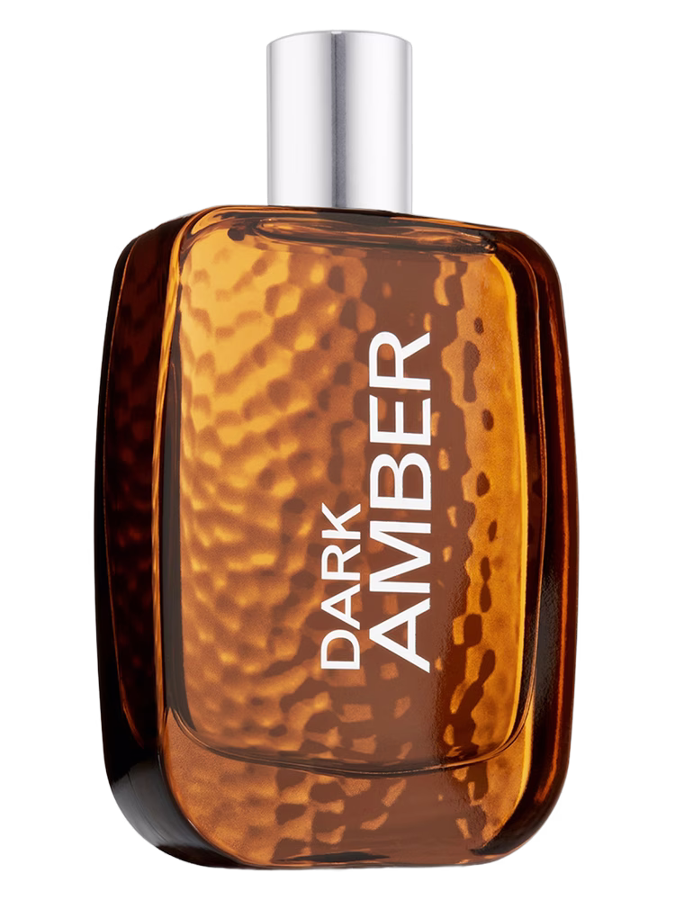 Bath & Body Works Dark Amber for Men