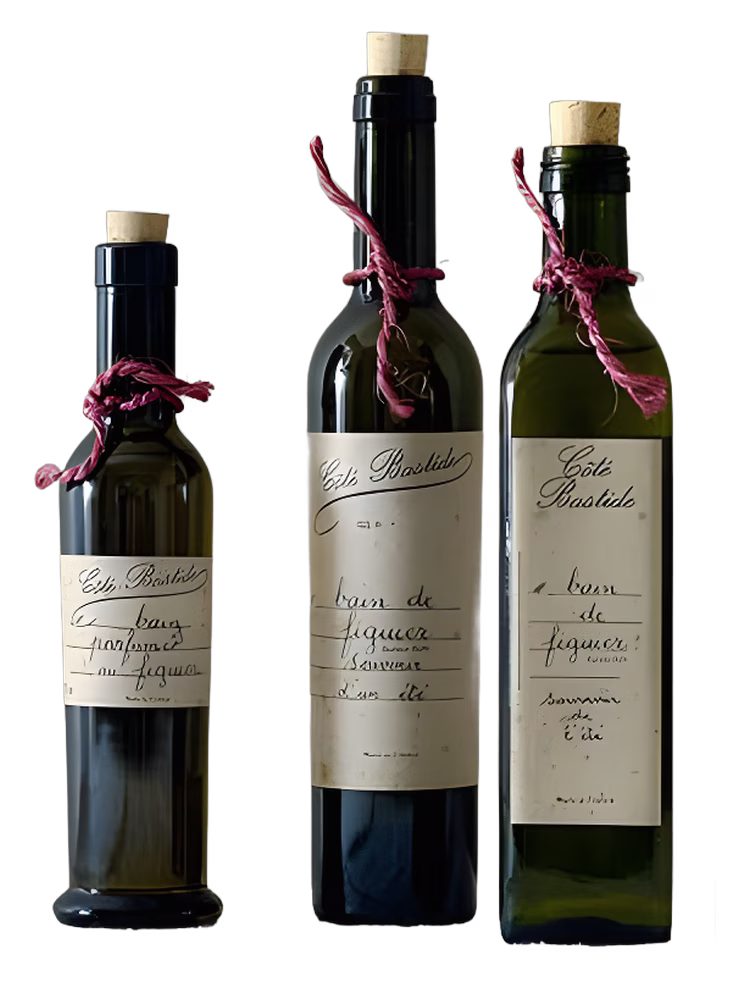 Bastide Aix en Provence Fig Leaves