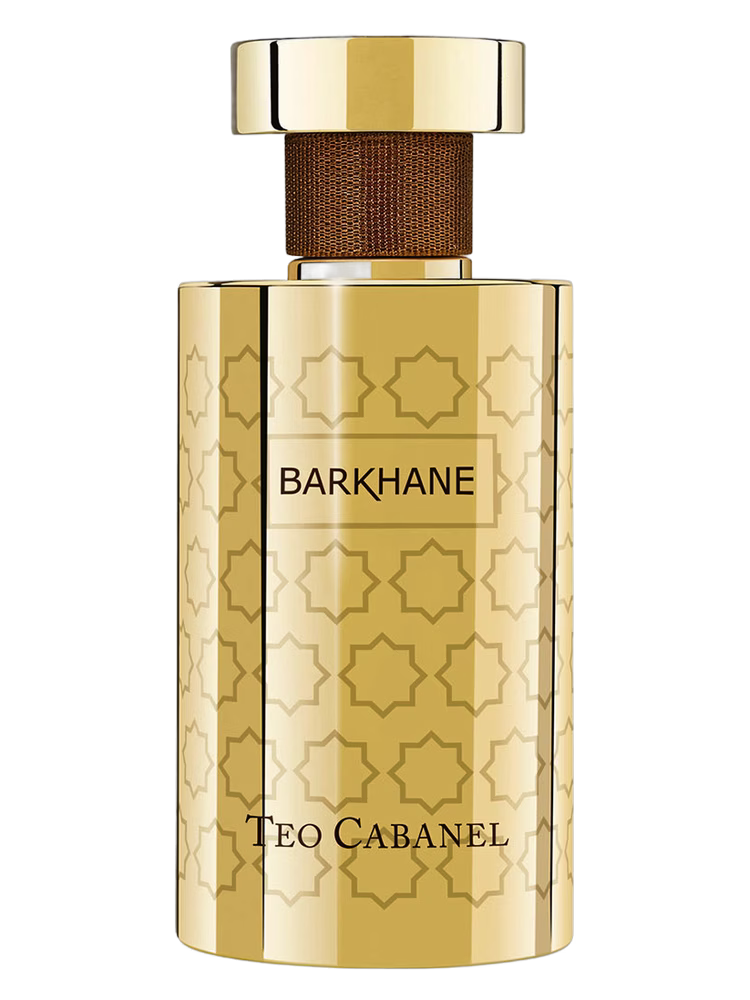 Teo Cabanel Barkhane