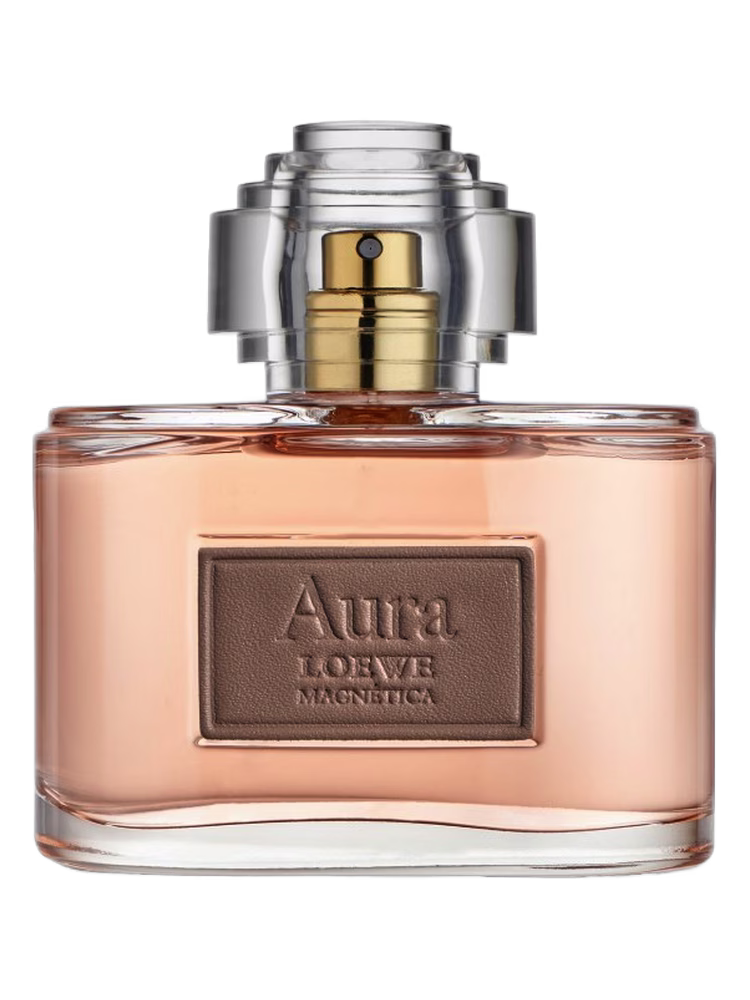 Loewe Aura Loewe Magnética