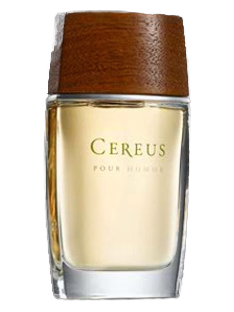 Cereus Cereus No.7