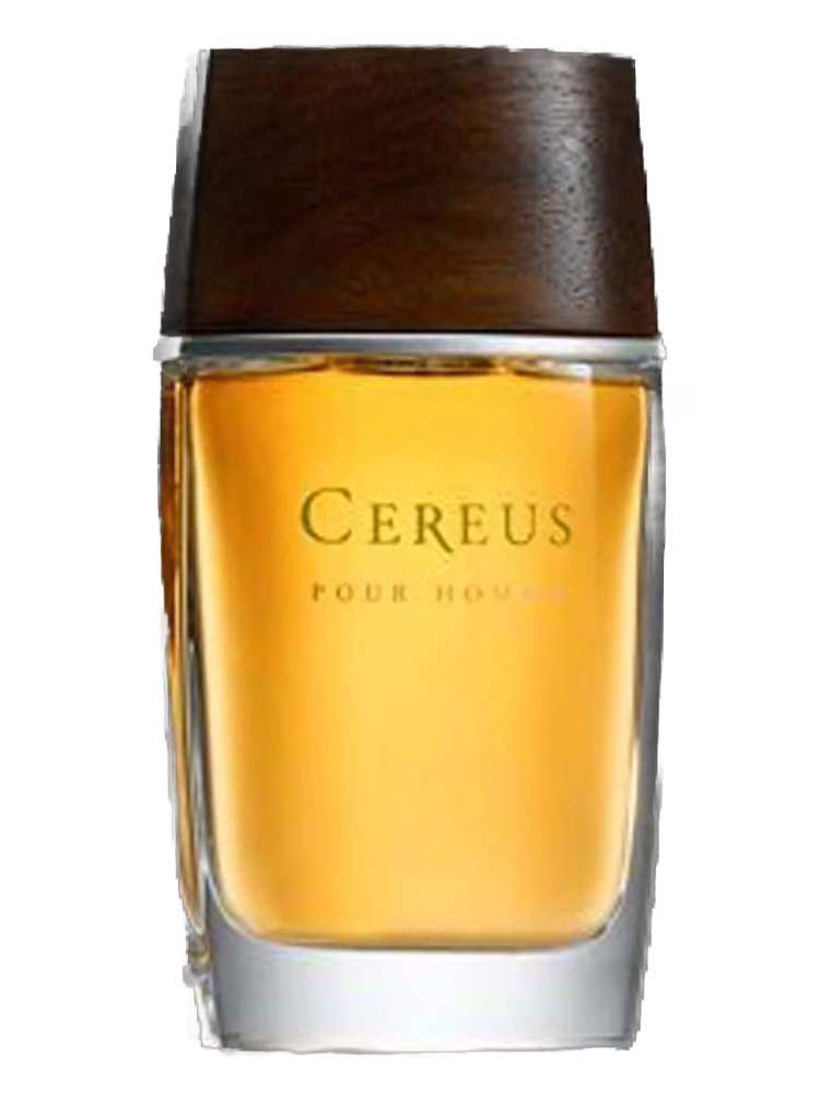 Cereus Cereus No.11