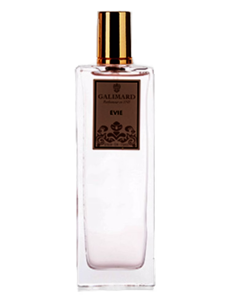 Galimard Evie