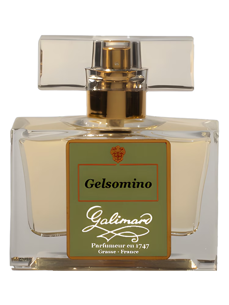 Galimard Gelsomino