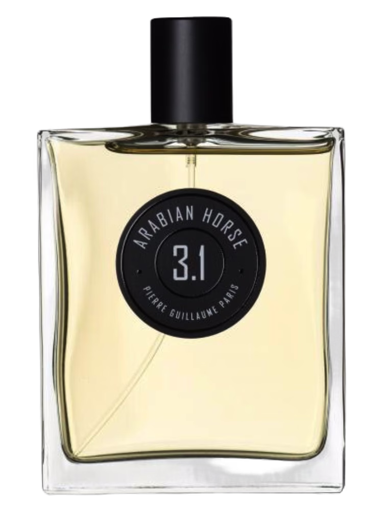 Pierre Guillaume Paris Arabian Horse 3.1
