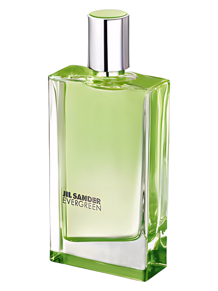 Jil Sander Evergreen