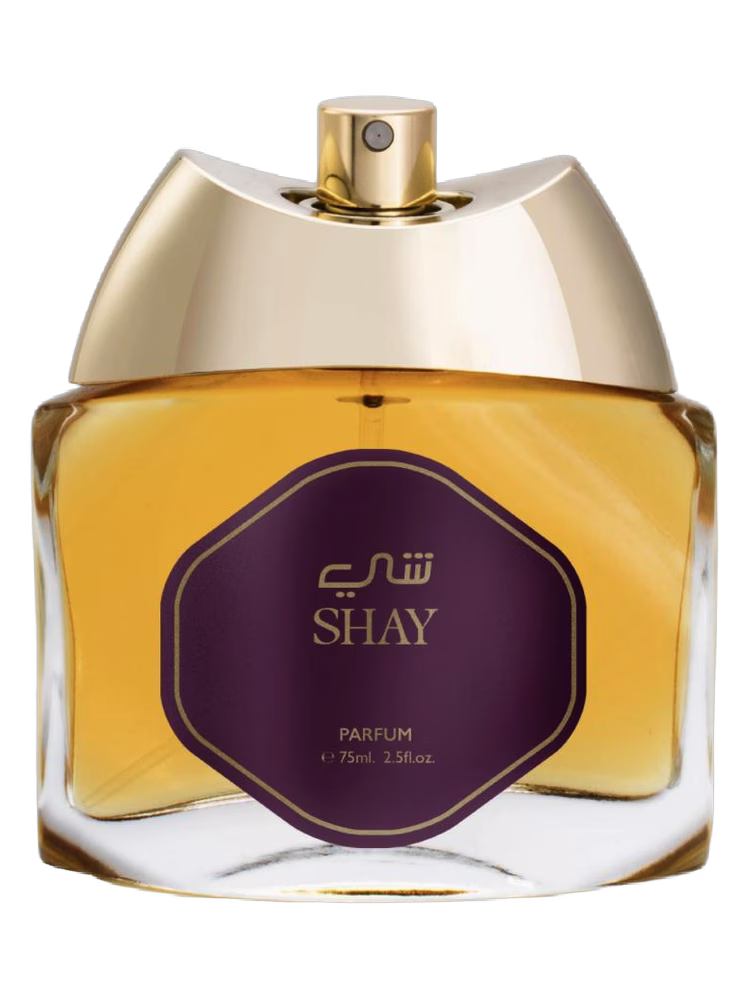 Anfasic Shay