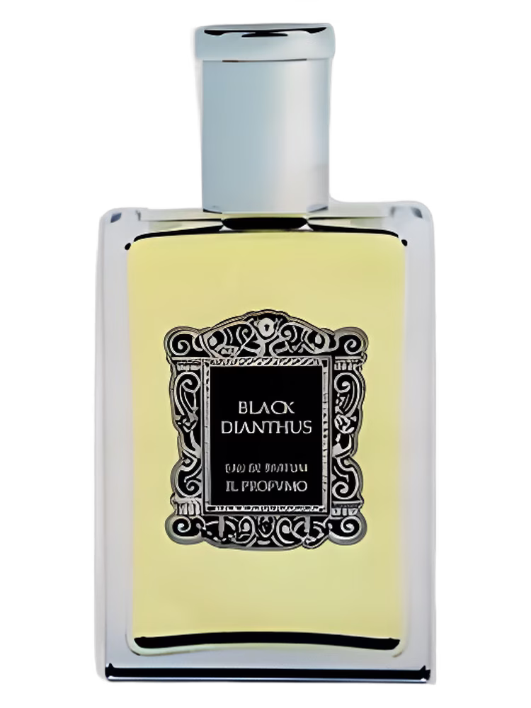Il Profvmo Black Dianthus
