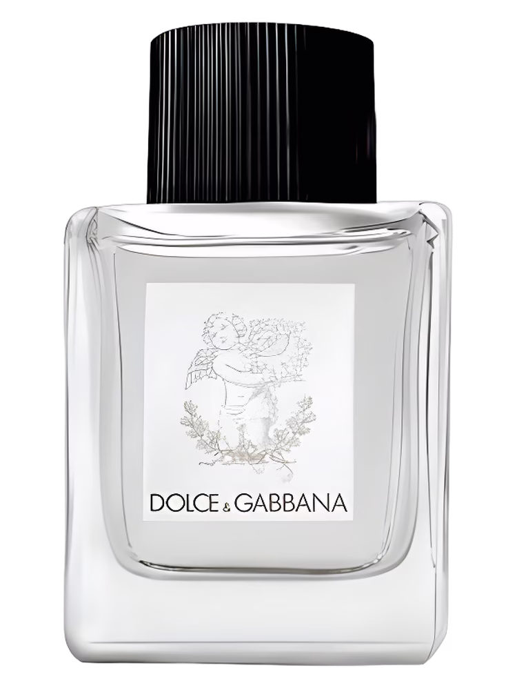 Dolce&Gabbana Dolce&Gabbana Perfume for Babies