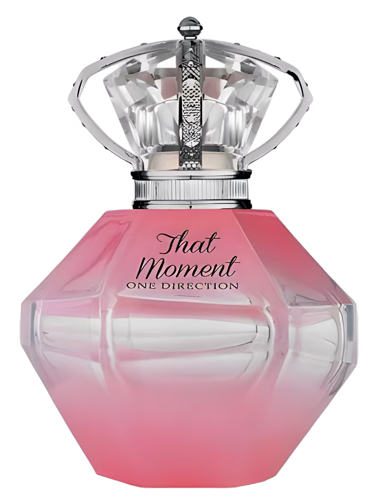 One Direction That Moment