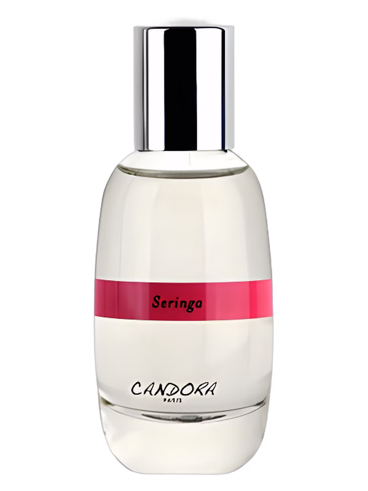 Candora Seringa