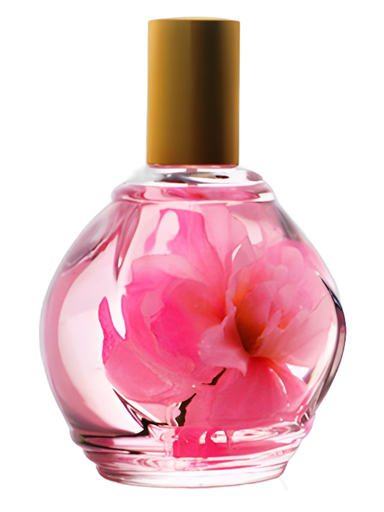 Guy Bouchara Parfum d'Ambiance Rose
