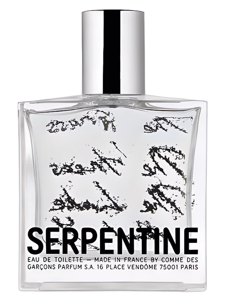Comme des Garcons Serpentine