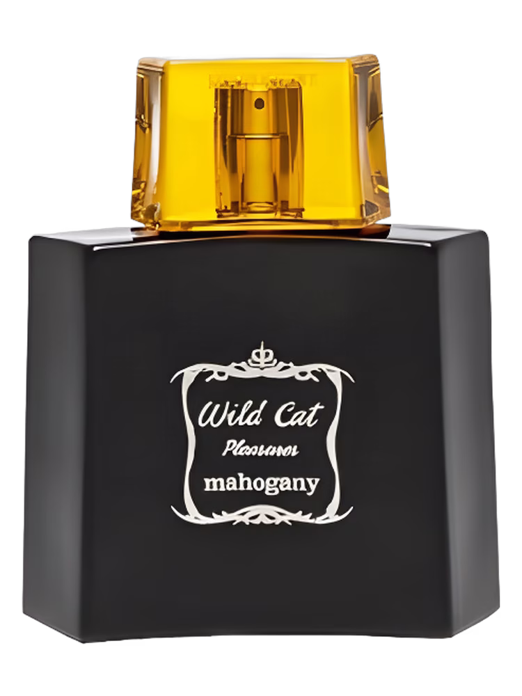 Mahogany Wild Cat