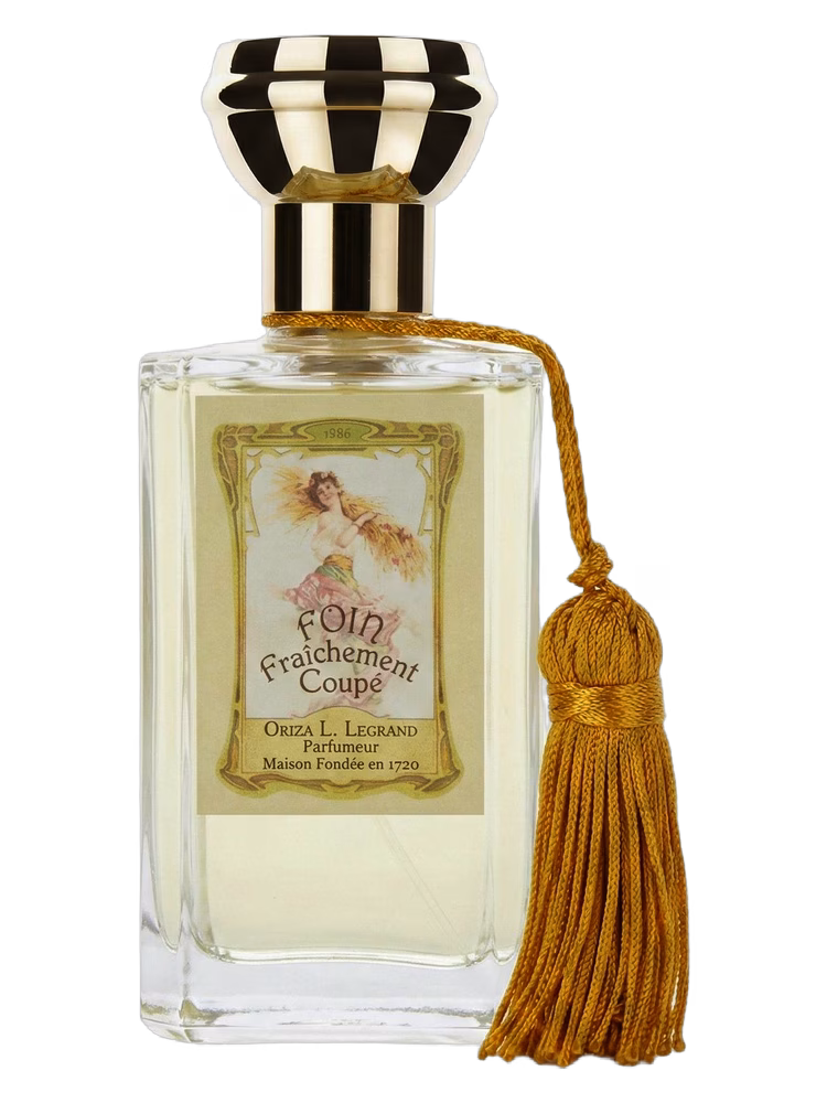 Oriza L. Legrand Foin Fraichement Coupe