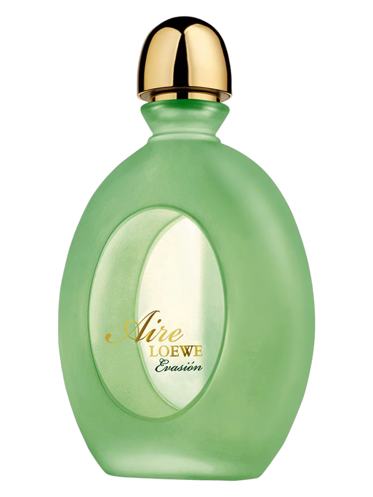 Loewe Aire Evasion