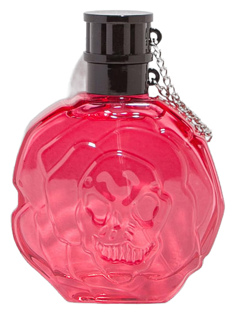 Zara Zara Rose Petal