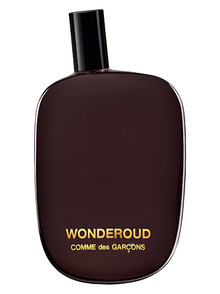 Comme des Garcons Wonderoud