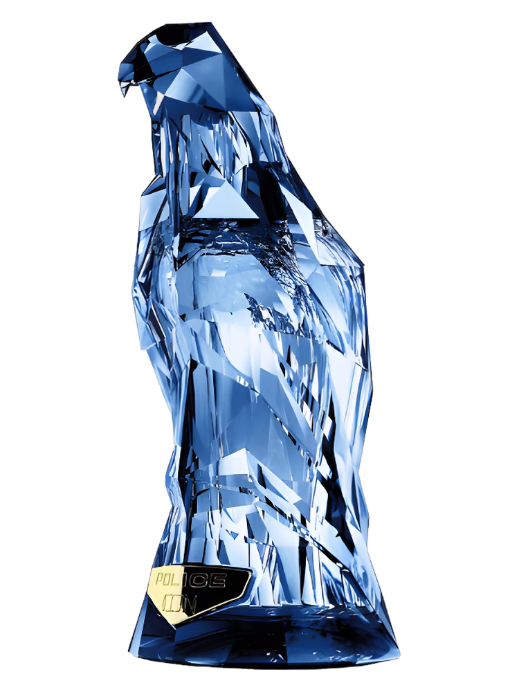 Police Icon