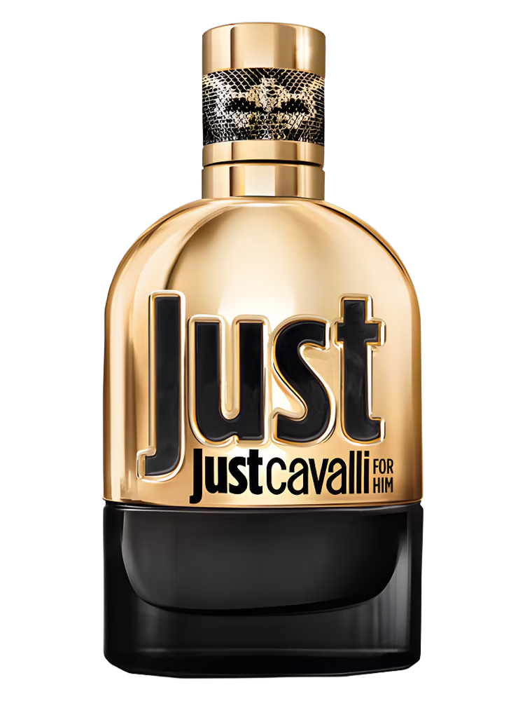 Roberto Cavalli Just Cavalli Gold for Him