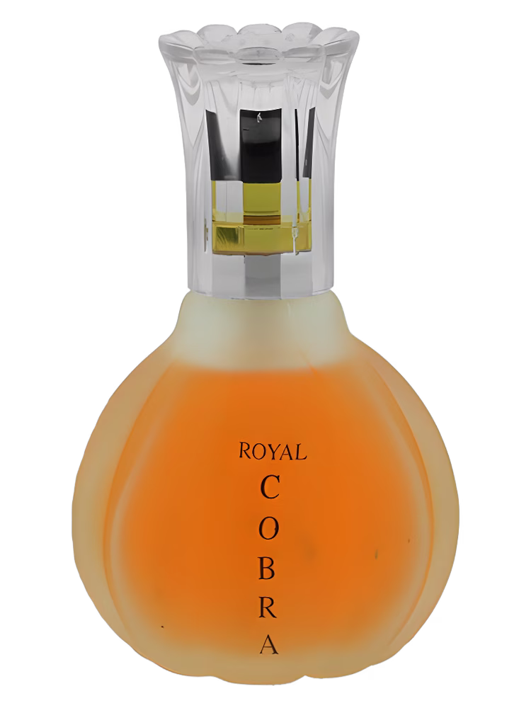 Shirley May Royal Cobra