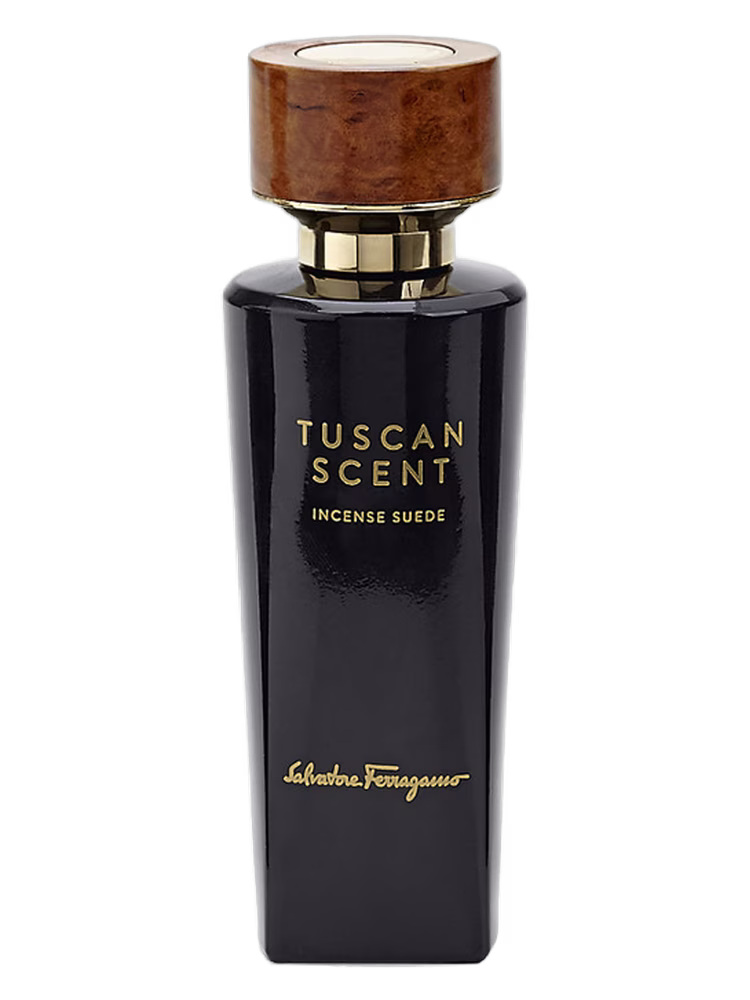 Salvatore Ferragamo Incense Suede