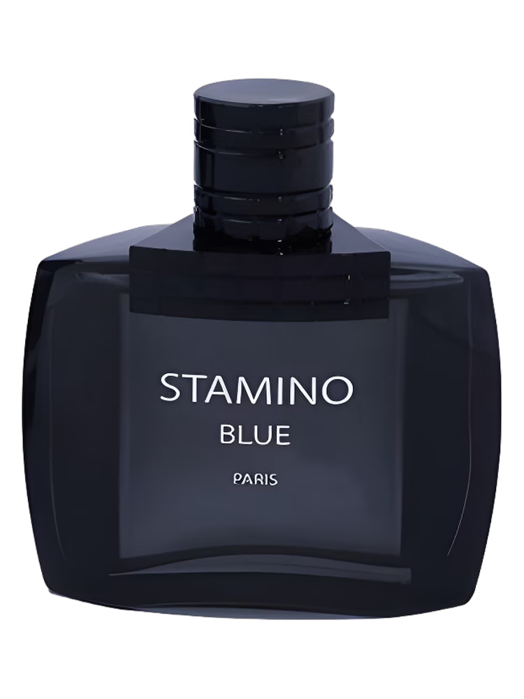 Prime Collection Stamino Blue