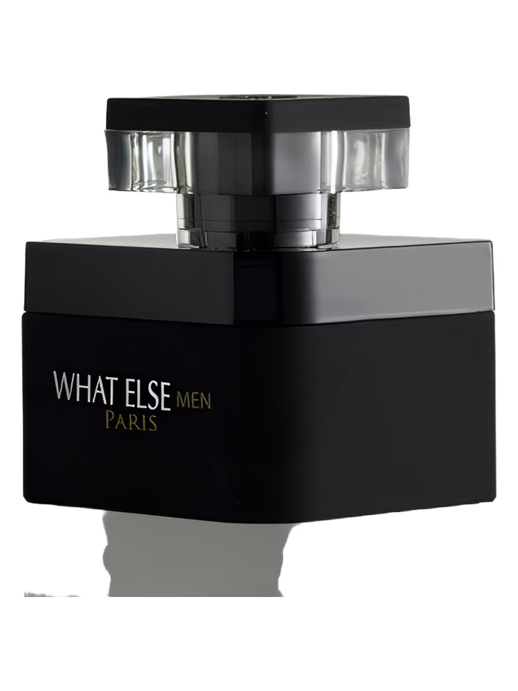 A.P. Durand Parfums What Else Men