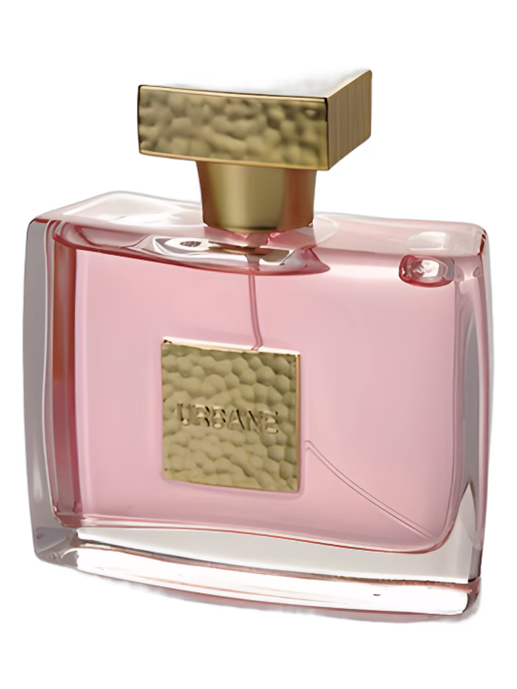 Prime Collection Urban Edition Women