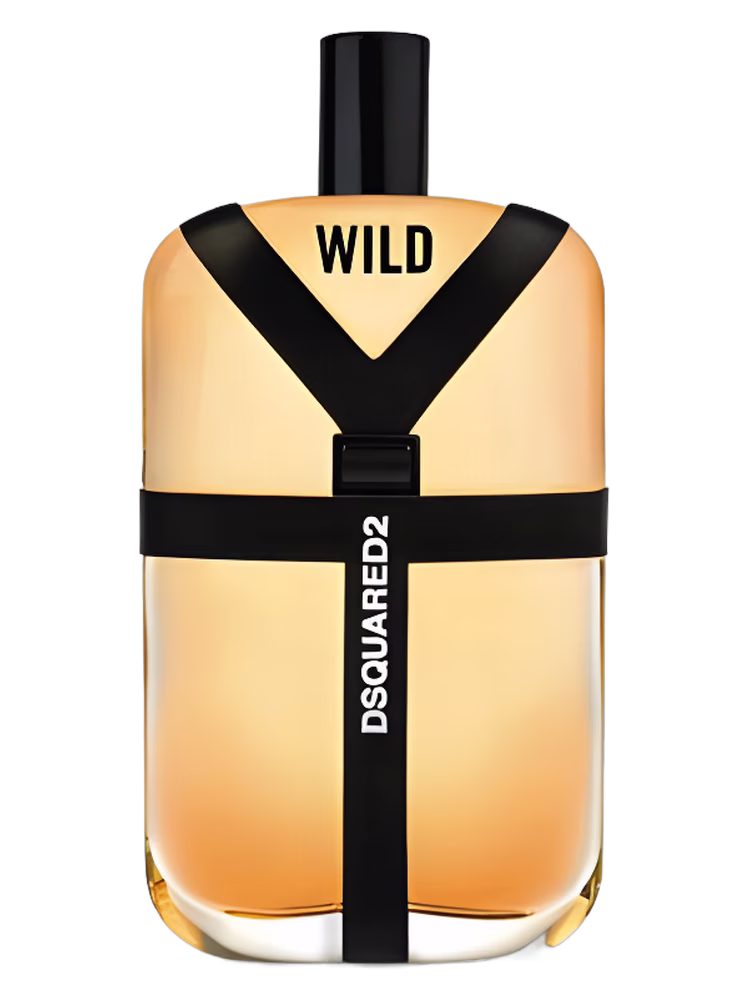 DSQUARED² Wild