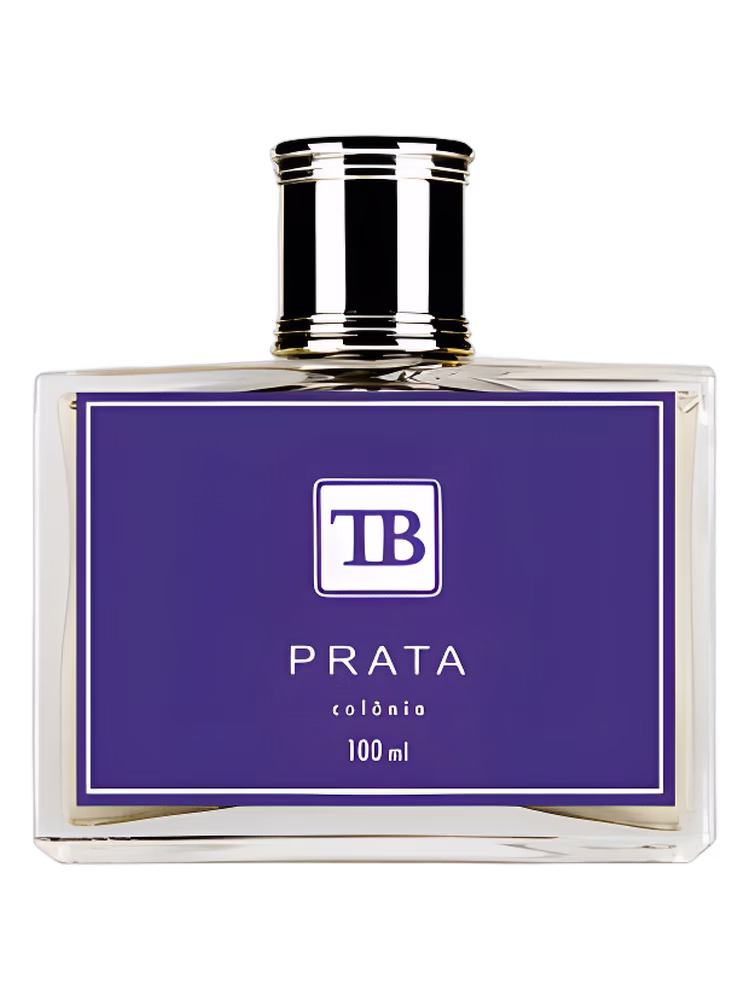 Tania Bulhões Prata Contemporaneo