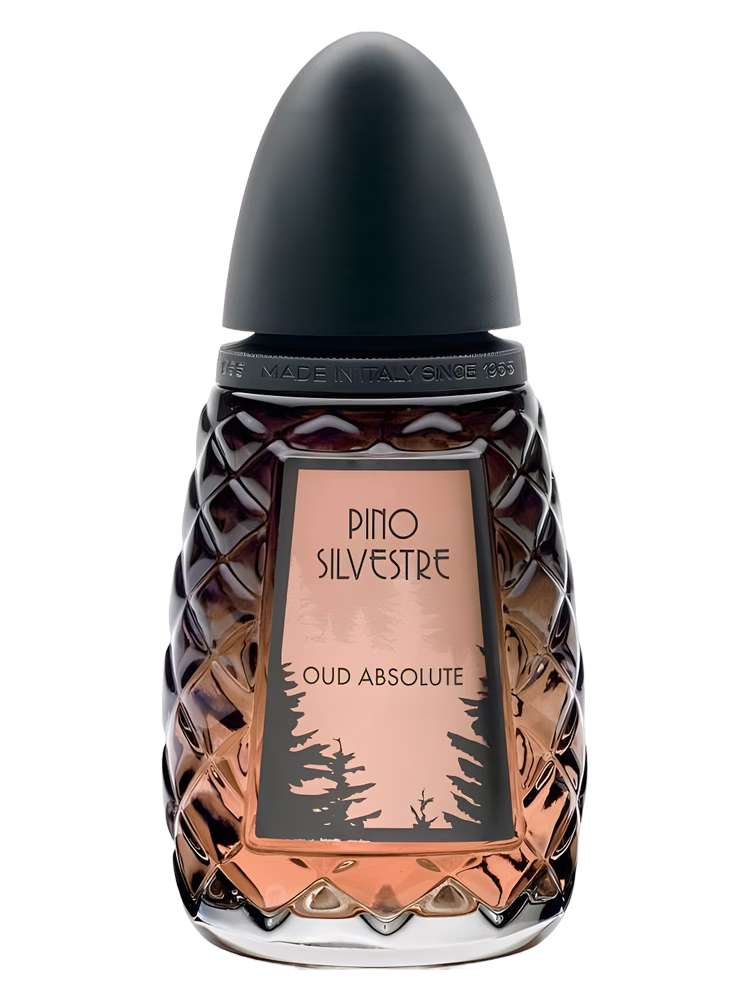 Pino Silvestre Oud Absolute