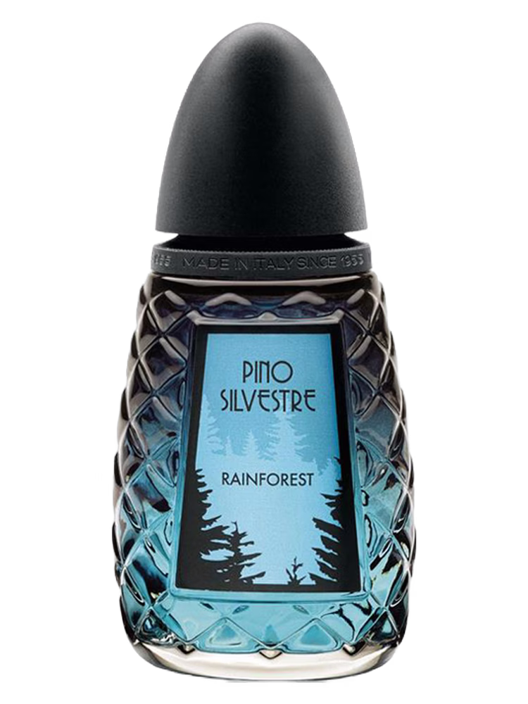 Pino Silvestre Rainforest