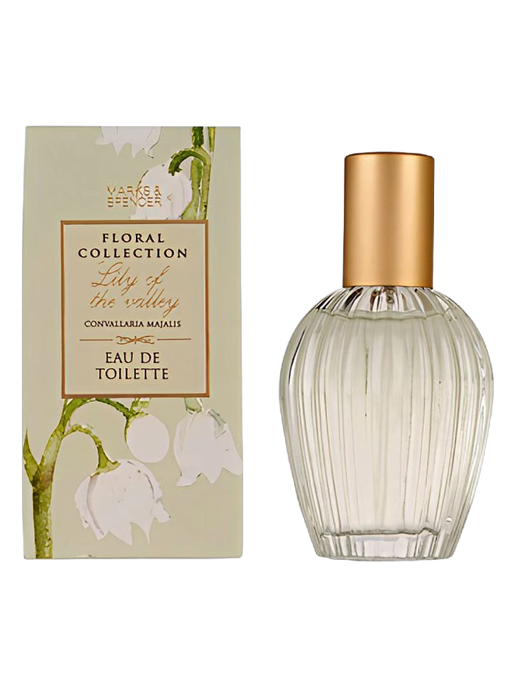 Marks & Spencer Lily of the Valley